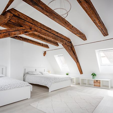 Apartmán Le Grenier Du Photographe Kaysersberg-Vignoble Exteriér fotografie